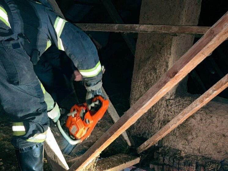 В Херсонской области за сутки ликвидировали два техногенных пожара