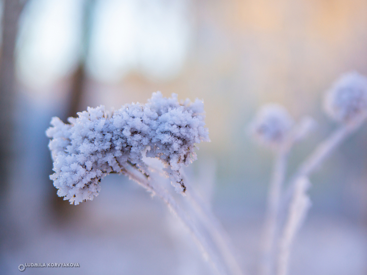 Местами до -30°С: погода в Карелии на 9 января