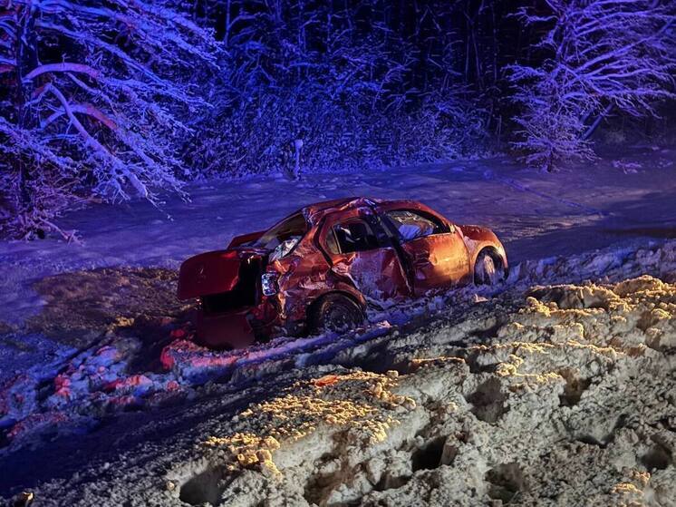 В Новгородском округе на ФАД М-10 погибла пассажирка иномарки