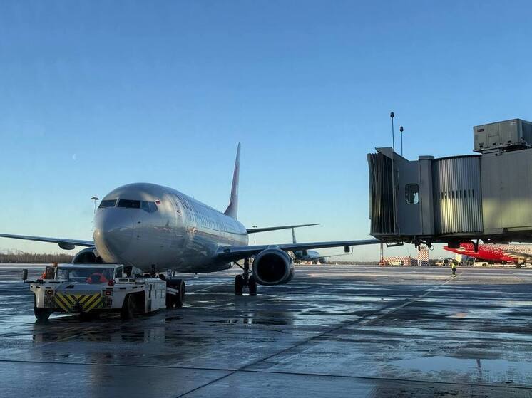 Воздушная гавань Пулково вернулась к работе в штатном режиме