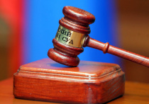 Московский областной суд утвердил приговор бывшему начальник МРЭО ГИБДД подмосковного Воскресенска, бравшего взятки с будущих водителей