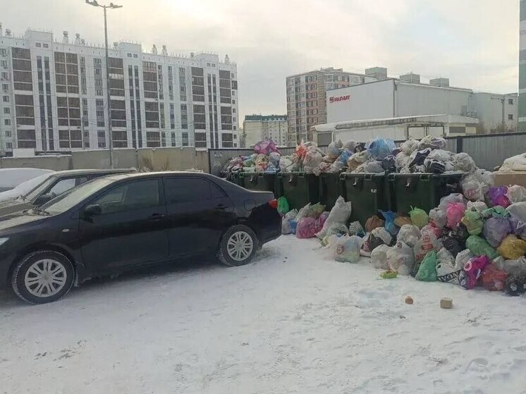 Автохамы более 350 раз помешали челябинским коммунальщикам вывести мусор