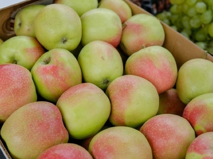 Волгоградцам посоветовали есть яблоки для снижения уровня холестерина