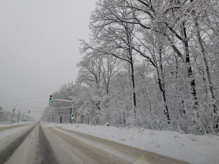 Сильное похолодание придет в Воронеж в конце новогодних каникул
