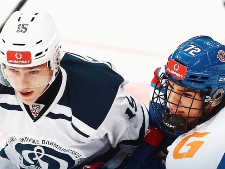 Первый матч нового года завершился поражением «Динамо-Карелия»