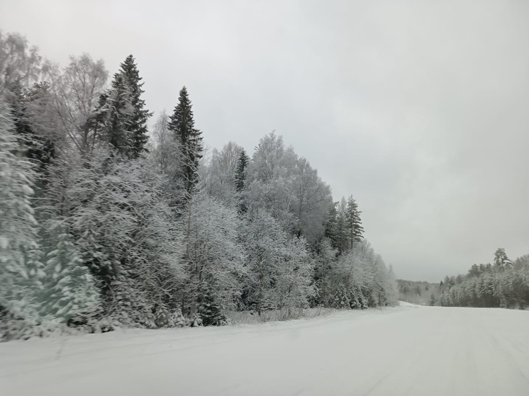 Вологодские метеорологи рассказали о снегопадах в последние дни новогодних каникул