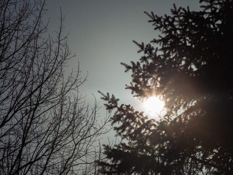 Плазменный выброс от Солнца заденет Землю