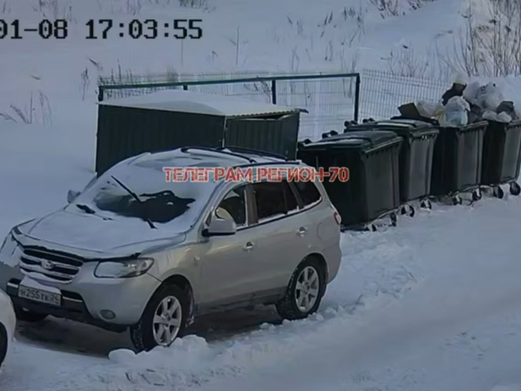 В Томске хозяйка выбросила питомца в сугроб