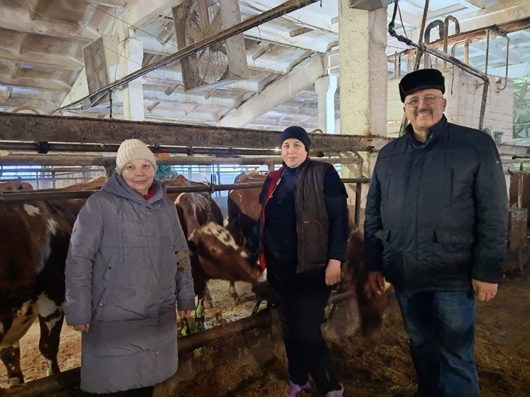 Представители власти Хвойнинского округа посетили животноводческие комплексы