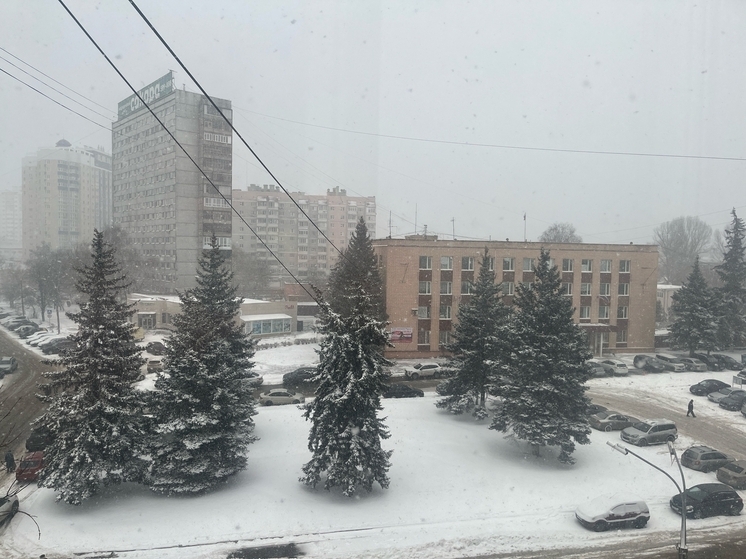 Жителям ДНР напомнили о правилах поведения во время непогоды