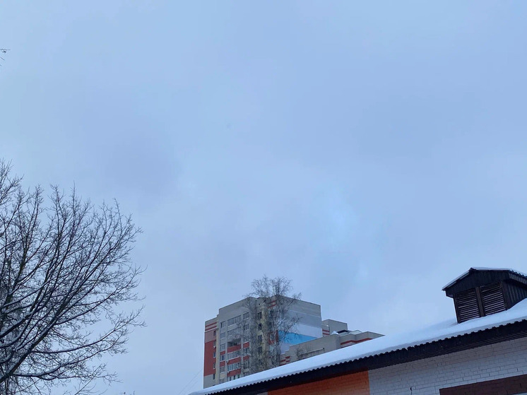 Липецкие службы перешли в режим повышенной готовности из-за капризов погоды