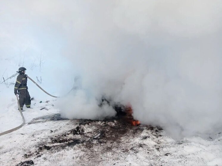 В Ленобласти за сутки пожарные-спасатели выезжали на 15 происшествий