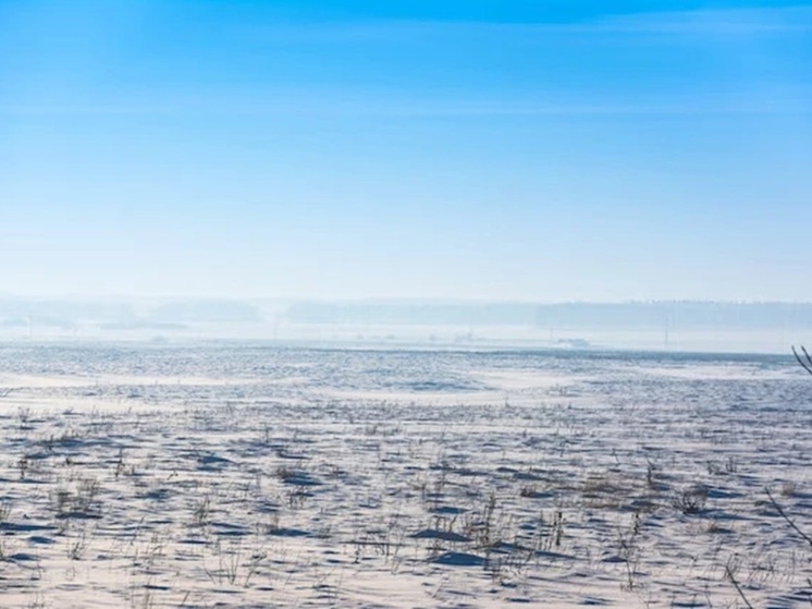 Завтра кошка расскажет о потеплении в Калмыкии