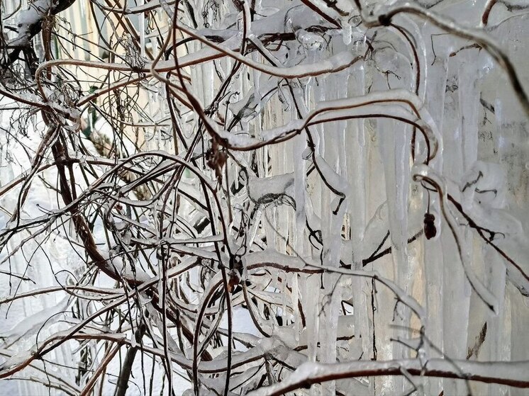 Пензенцам рассказали, как избежать обморожений