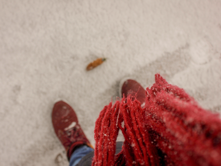 Снег будет засыпать Петербург и Ленобласть 10 и 11 января