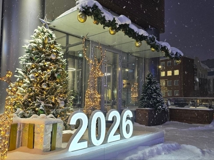 Архангельский бизнес активно украшает город к Новому году