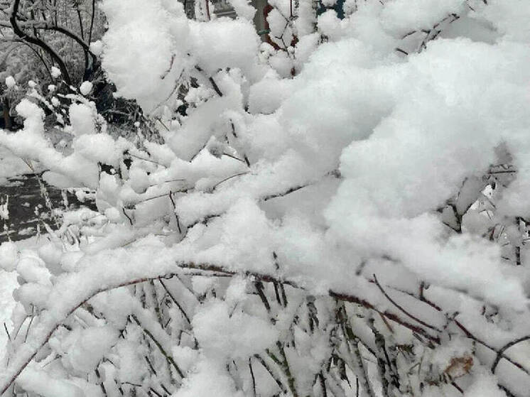 Работа лыжной трассы в рязанском комплексе «Алмаз» временно приостановлена