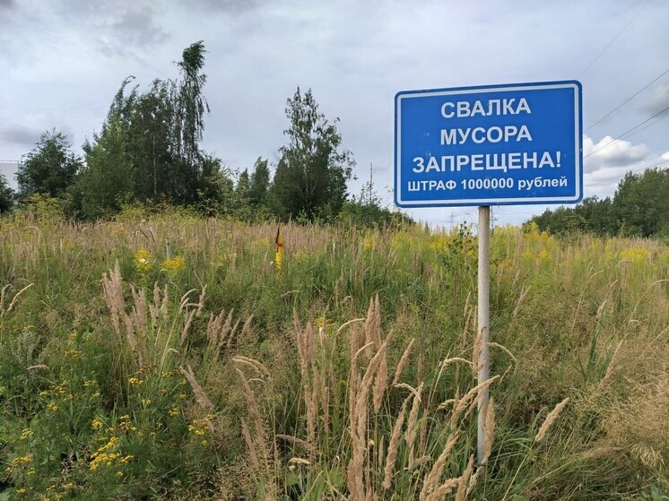 В Калининградской области идет борьба с несанкционированными свалками