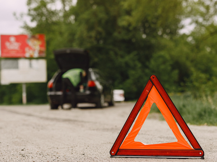 41-летний житель областного центра прибыл с супругой и детьми в республику 4 января, планировал уехать 6-го числа, но до сих пор остается за границей