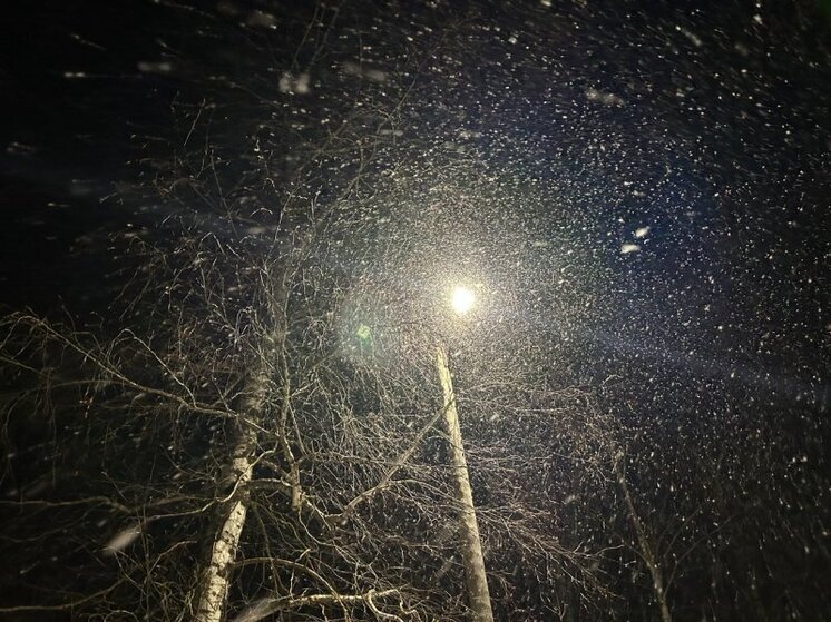 МЧС: сильный снегопад приближается к территории Вологодской области