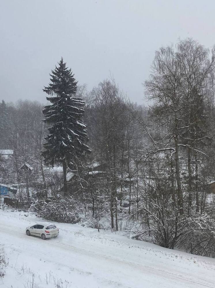 Метеоролог Сафонов: зима задолжала нам снега в декабре, в январе это восполняет