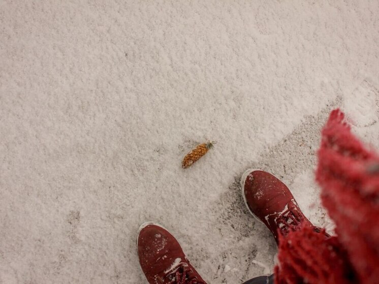 Снегопады и порывистый ветер накроют Ленинградскую область в выходные