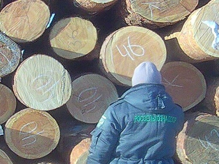 Главное направление лесного экспорта Бурятии  – Китай