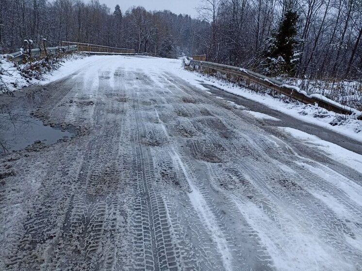 Дети из пяти ивановских деревень ходят в школу пешком через лес