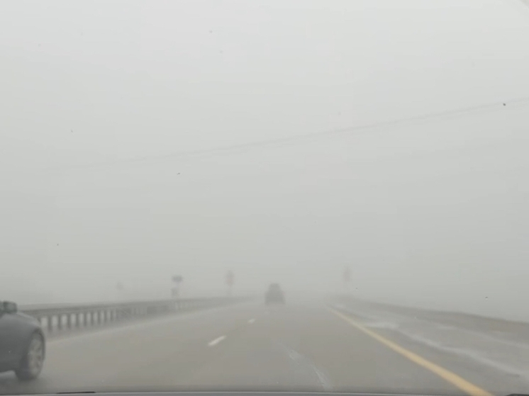 Водителей предупредили о густом тумане в Ростовской области на трассе М-4