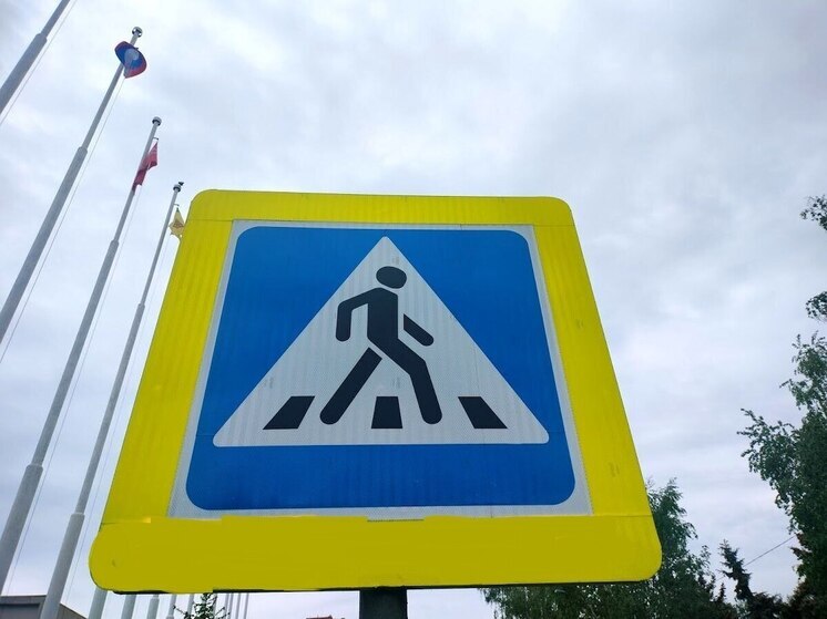 В Пензенской области водитель сбил двух подростков на пешеходном переходе