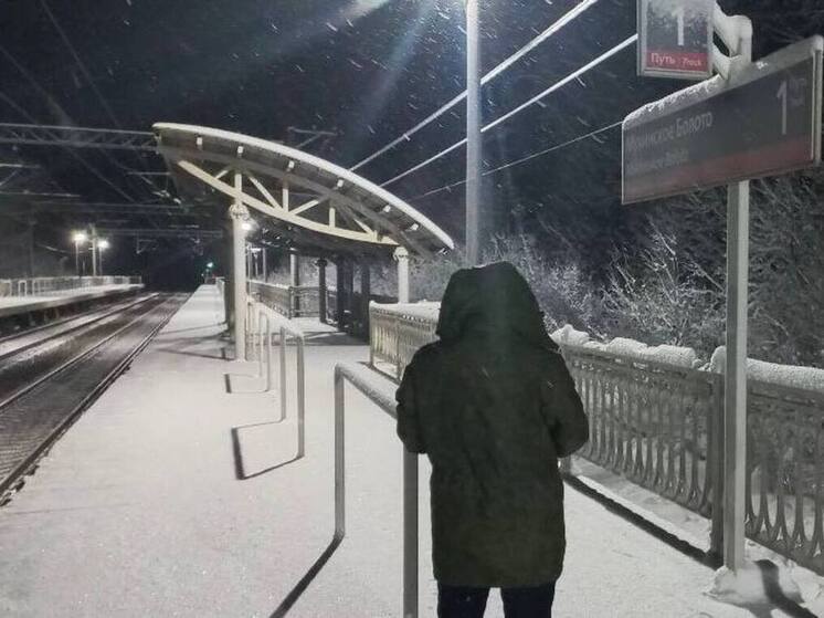 Под Выборгом подросток погиб при падении с движущегося поезда