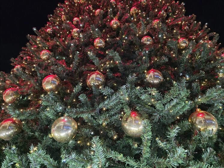 В «Сириусе» более 8 тысяч гостей пришли на новогодние события для семей