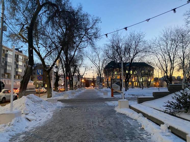 Небольшой снег выпадет в Белгородской области в субботу