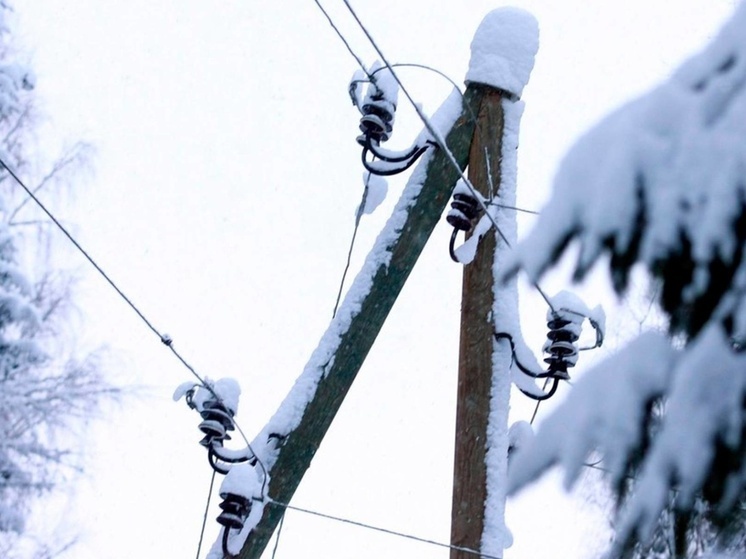 Во Владимирской области из-за снегопада обесточены 32 населенных пункта