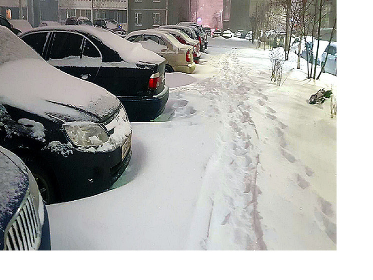 Водители устроили драку в одном из дворов Петрозаводска