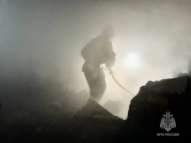 МЧС Калининградской области потушило гигантский пожар в Светлом