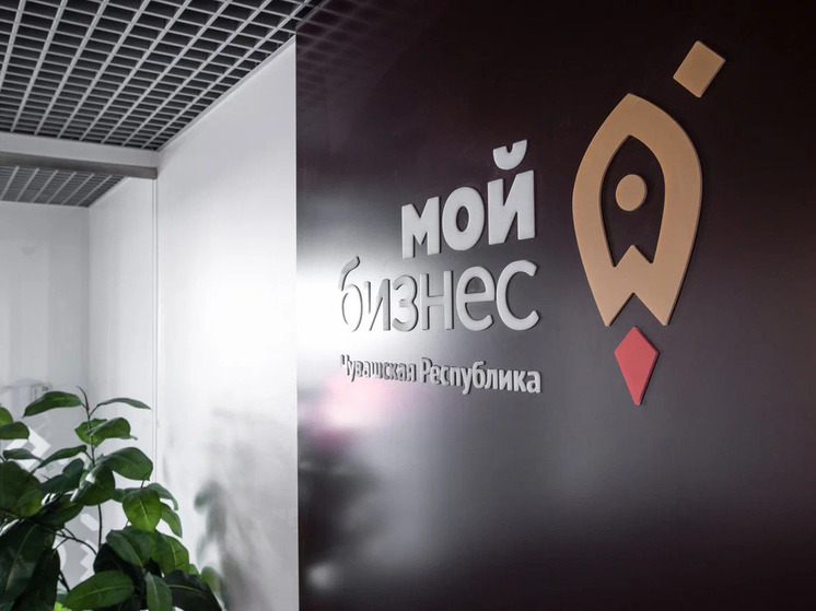 Количество предпринимателей и самозанятых в Чувашии за год выросло почти на четверть