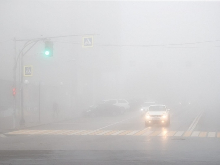 В Волгоградской области ограничили движение на трассе из-за тумана