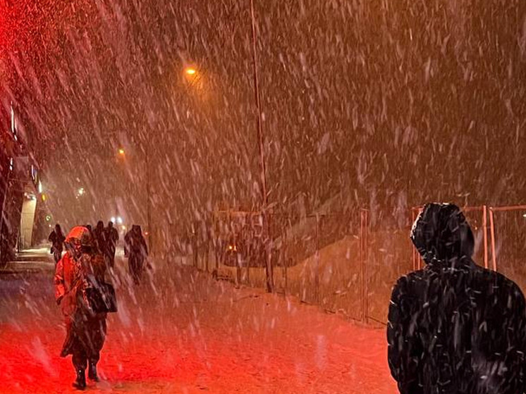 Новгородцев предупредили о сильном ветре и снегопаде