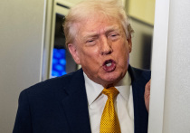 Ушедший 2025 год задал тренд на циничную откровенность в мировой политики