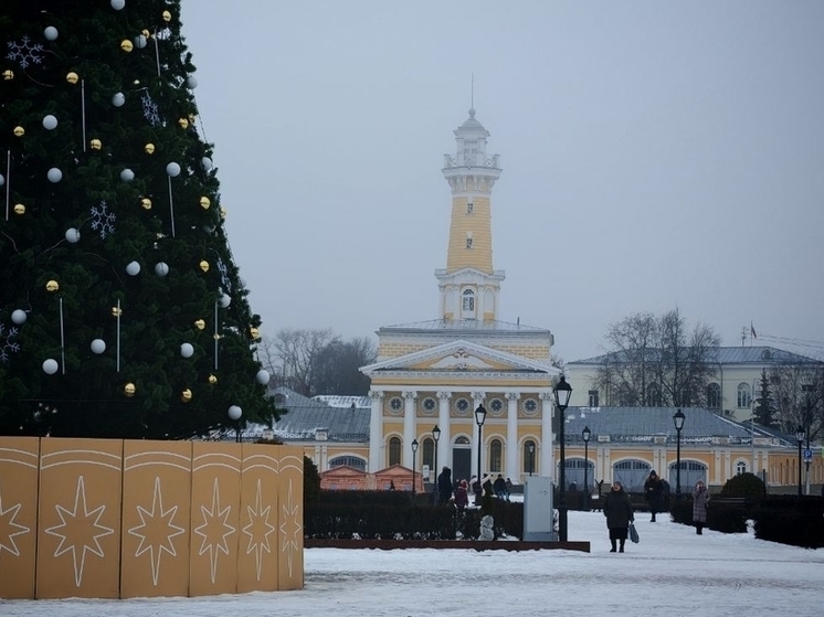 Из-за метели новогодние гуляния на Сусанинской площади перенесены на субботу