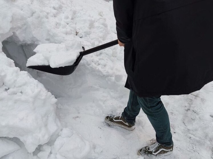 Петербург не отстал от столицы и также обновил рекорд высоты снежного покрова