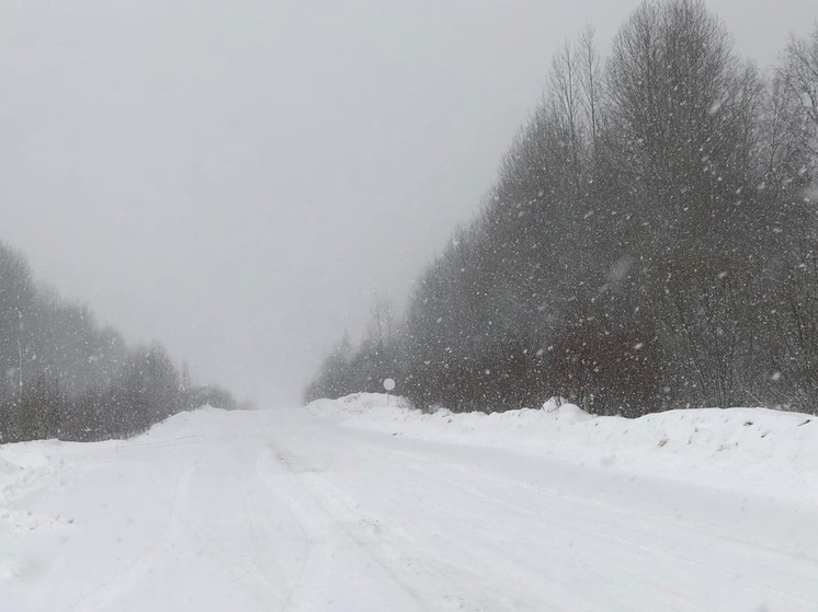 В Вологодском округе обнародовали перечень мест, где водители могут укрыться от метели