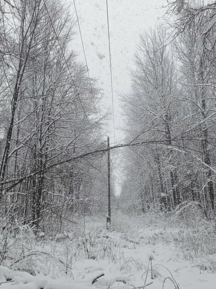 Энергетики «Ярэнерго» устраняют последствия сильного снегопада в Ярославской области