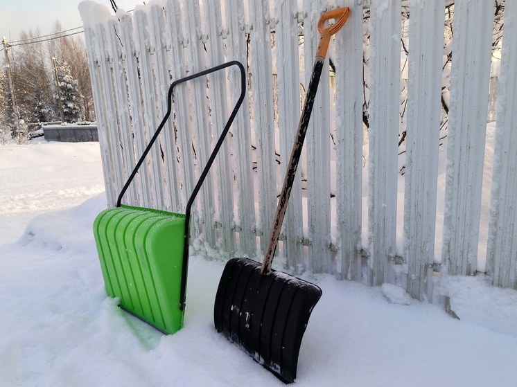 Президент Белоруссии вместе с сыном присоединились к расчистке снега