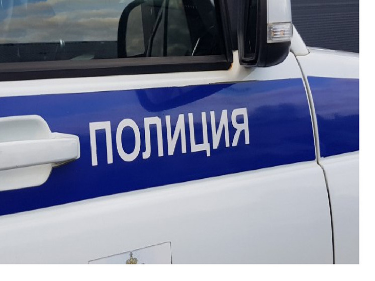 В Олонце полиция проверяет обстоятельства смерти 73-летней женщины, чей крик несколько дней тревожил соседей