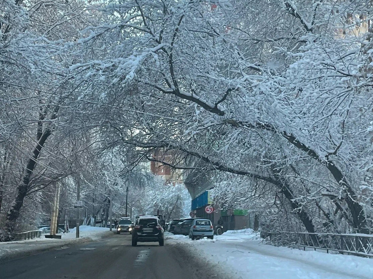 Мокрый снег и гололед пообещали рязанцам 10 января