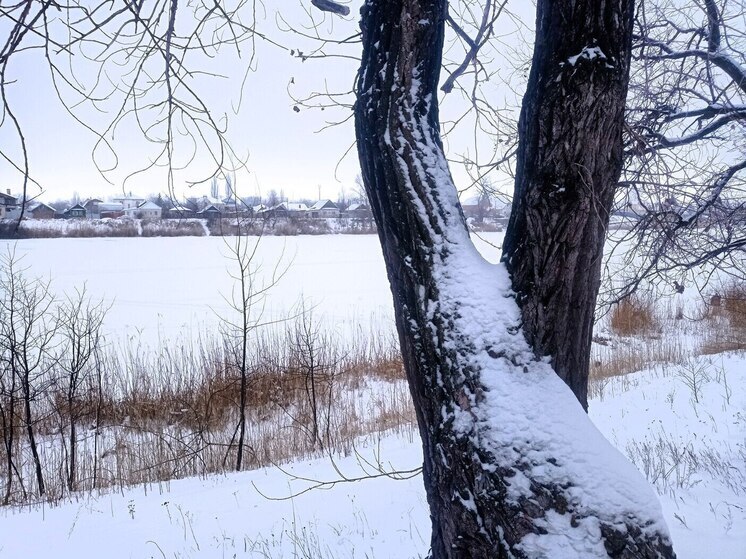 Саратовцев ждут похолодание и снегопад