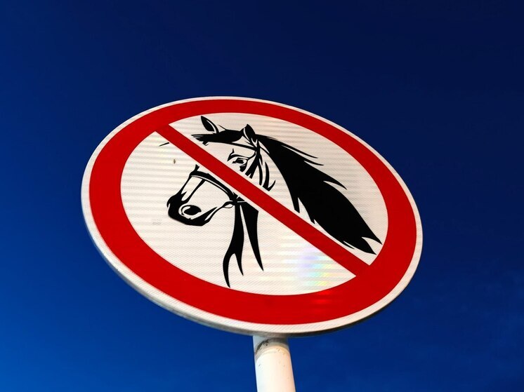 Лошадь лягнула по лицу двухлетней девочки в Ломоносовском районе Петербурга