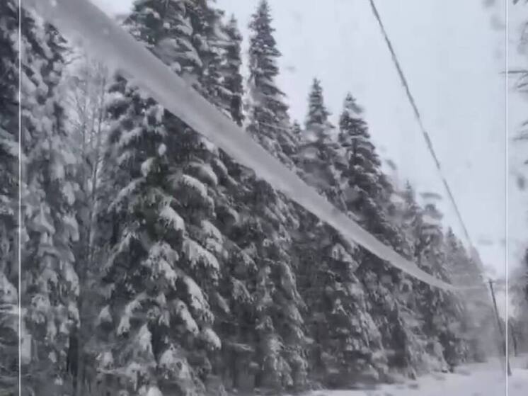 390 абонентов лишились электричества в Струго-Красненском округе